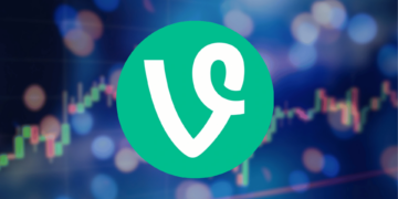 Everything You Need to Know About the Future Potential for VINE