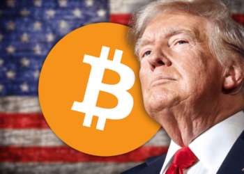 Here is What You Can Expect From Bitcoin After Trump Takes Office
