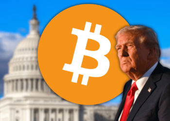 Here is What You Can Expect From Donald Trump and How He Will Affect Crypto Policy