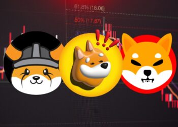 Meme Coin Market: SHIB, BONK, and FLOKI Face Challenges