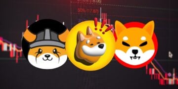 Meme Coin Market: SHIB, BONK, and FLOKI Face Challenges