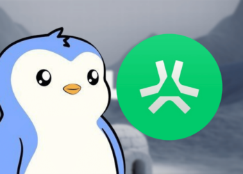Pudgy Penguins' Parent Company Unveils Abstract Chain to Revolutionize Web3 Access