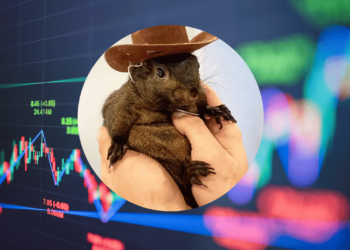 Solana Meme Coin Peanut the Squirrel PNUT to be Listed on Coinbase: Here is What You Need to Know