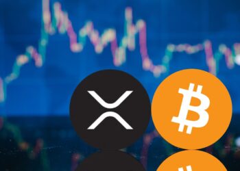 Title: Bitcoin vs. XRP: Which Crypto Reigns Supreme in 2025?