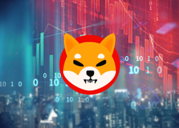 SHIB Price Movement: A Rollercoaster Ride Worth Howling For