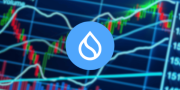 Sui Faces Market Correction but Retains Long-Term Growth Potential