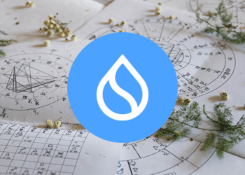 SUI on a Roller Coaster Ride Full of Small Bull Runs and Bearish Corrections Before February