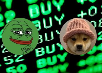 $16 Million Whale Buys: A Signal of Confidence in Meme Coins