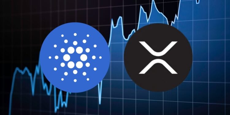 Altcoin Season Fizzles While Bitcoin Dominates—can Xrp and Cardano Lead the Recovery?