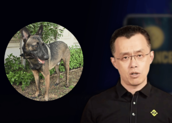CZ’s Dog ‘Broccoli’ Fuels Meme Coin Frenzy