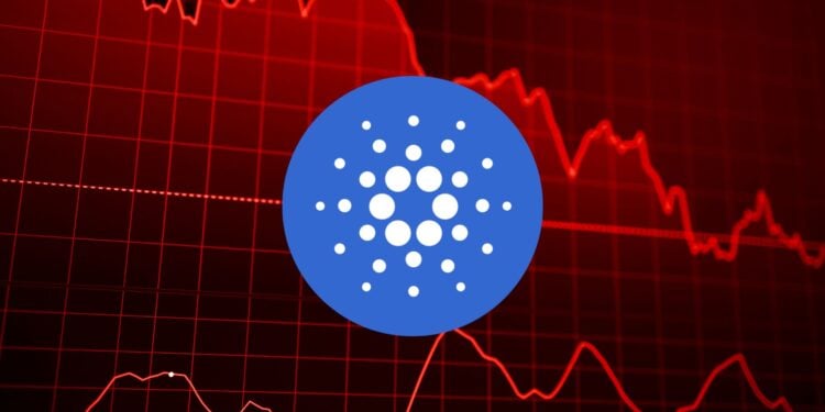 Cardano's Future Uncertain: Whales Sell, Bears Dominate