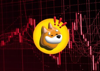 Meme Coin Market Under Pressure: BONK Faces Headwinds