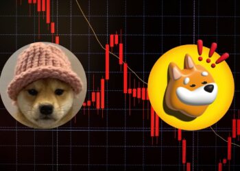 Solana Meme Coins BONK and WIF Continue to Struggle Amid Market Downturn