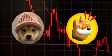 Solana Meme Coins BONK and WIF Continue to Struggle Amid Market Downturn