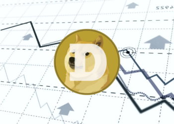 Dogecoin’s Wild Day: Can the Meme Coin Keep Its Loyal Holders Happy?