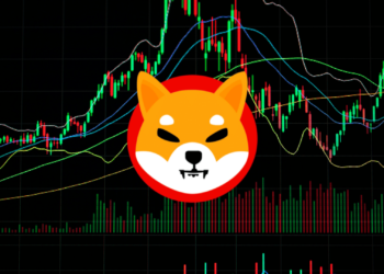 SHIBA INU SURGES AS MARKET HEATS UP – BUT CAN IT KEEP THE MOMENTUM?