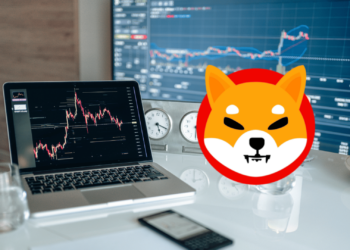 SHIB's on the Move: What's Next for February?