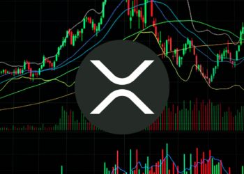 XRP's Tug of War: Can Bulls Keep the Bounce Alive?