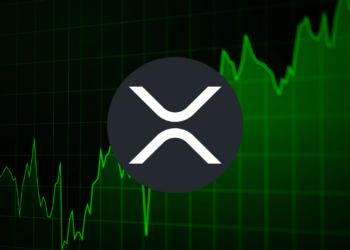 XRP’s Resilience: One of the Few Holding Strong in a Weak Market
