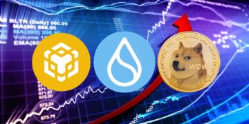 Altcoins Break Out While Bitcoin Waits—$BNB, $SUI, and $DOGE Make Their Moves