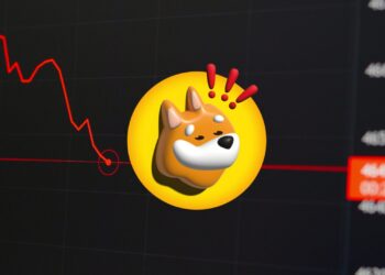 BONK's Grim Reality: 41% Memecoin Market Cap Drop and Counting
