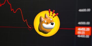 BONK's Grim Reality: 41% Memecoin Market Cap Drop and Counting