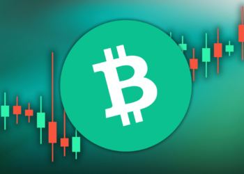 Bitcoin Cash Skyrockets 30%, Leading the Crypto Market: Why is BCH Pumping?