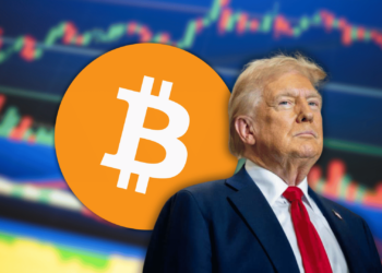 Bitcoin Liquidations Surge Despite President Trump Confirming America Will Never Sell: Why is BTC Price Still Falling?