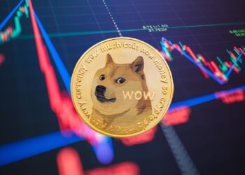 Dogecoin’s Rollercoaster Ride: Can $DOGE Reclaim $0.29 or Is a Bigger Drop Ahead?