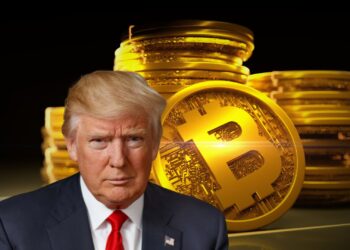 Everything You Need to Know About Donald Trump's New Bitcoin Reserve