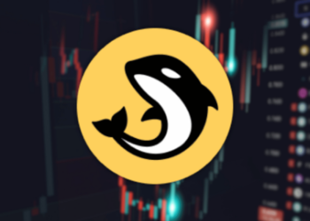 Orca-token-soars-over-175-following-upbit-exchange-listing-here-is-what-you-can-expect-next
