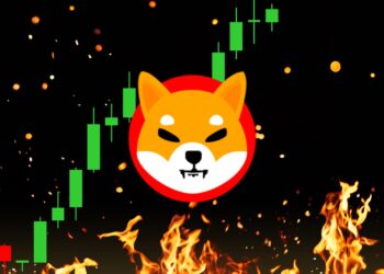 SHIB's $0.00047 Target: Is a Breakout Imminent After 5,400% Burn?