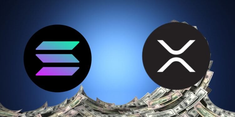 Solana Vs Xrp – Which Has Better Roi Recovery? Key Support Levels Analyzed – Blocknews