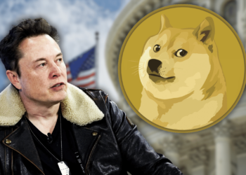 U.S. Government's DOGE Not Utilizing Dogecoin, Says Musk​