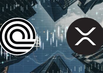 Whale Accumulation Spikes Amid Market Dip: XRP & ONDO Catch Attention