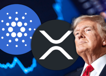 XRP and Cardano Holders Alarmed by Trump's Asset Stockpile Policy: Here is What You Need to Know