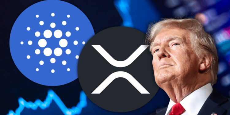 Xrp and Cardano Holders Alarmed by Trump's Asset Stockpile Policy: Here is What You Need to Know