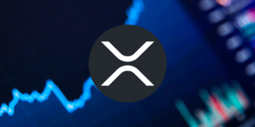 Xrp-support-down