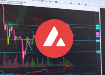 Avalanche at a Crossroads: Breakdown or Recovery Ahead?