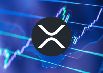 XRP’s Bounce Off Key Levels—Is a Bigger Move Coming?
