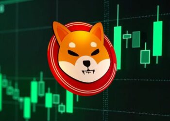 Analysts Believe Shiba Inu Could Surge 300% by October: Here is Why