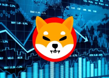 Ark Drops a Bombshell: $2.4M Bitcoin and What It Could Mean for SHIB