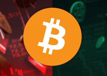 Bitcoin and Crypto in the Green Despite Trillions Lost in the Stock Market: Is Crypto a Buy Right Now?