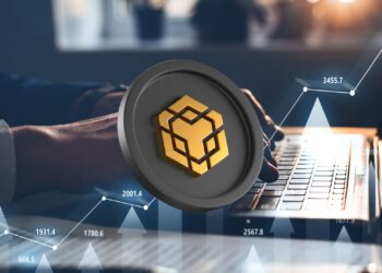 BNB Shows Grit as Social Buzz and Market Strength Push Price Higher