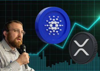 Cardano Founder Confirms Midnight Airdrop Could Reach 37 Million — Including XRP Holders