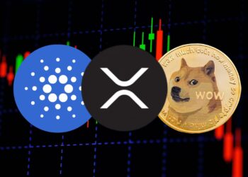 Crypto’s Cracking: XRP, ADA, DOGE Slammed Below Support as Panic Spreads