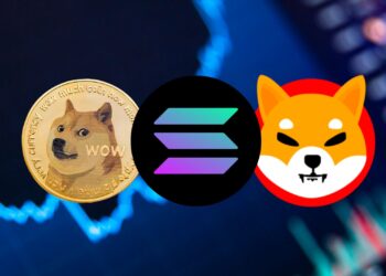 Dogecoin, SHIB, and Solana: Three Charts, One Market Waiting to Move