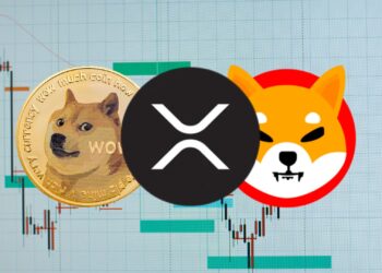 SHIB, DOGE, and XRP: Breaking Down or Breaking Through?