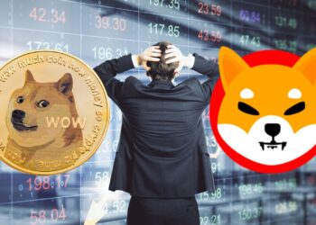 Shiba Inu vs. Dogecoin: Which Meme Coin (If Any) Is Worth the Risk in 2025?