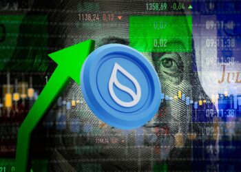 SUI Gathers Steam: Is a Breakout Brewing?